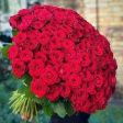 Un mondo di Rose .
